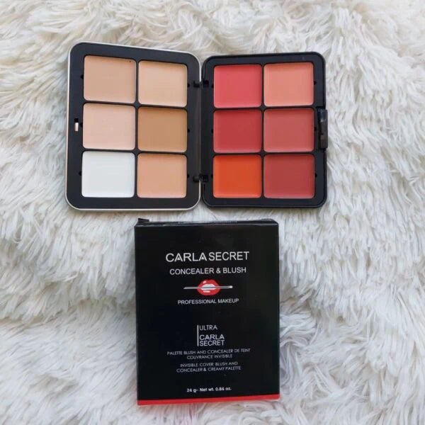 CARLA SECRET 12 COLOR CREAM CONCEALER & BLUSH PALETTE 2 IN 1